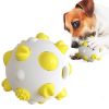 Pet Dog Toy Interactive Chew Toy Non Toxic Bite Resistant Rubber Ball