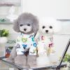 Pet clothes Dog clothes Autumn and winter new cat pet clothes Two leg sweater 22 Happy bear bottoming shirt